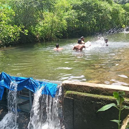 Tharayil Farm Stay วากามอน ภายนอก รูปภาพ