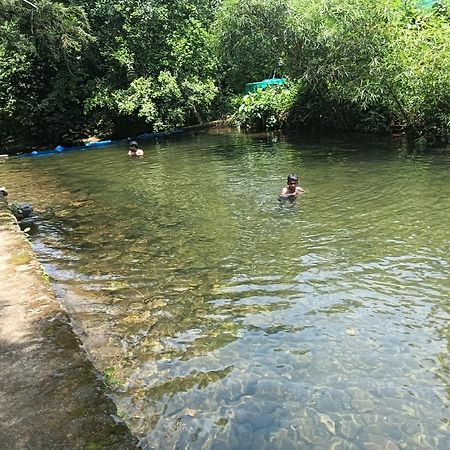 Tharayil Farm Stay วากามอน ภายนอก รูปภาพ