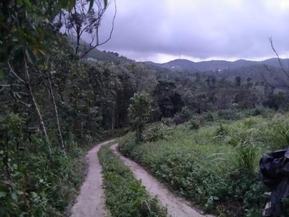 Tharayil Farm Stay วากามอน ภายนอก รูปภาพ