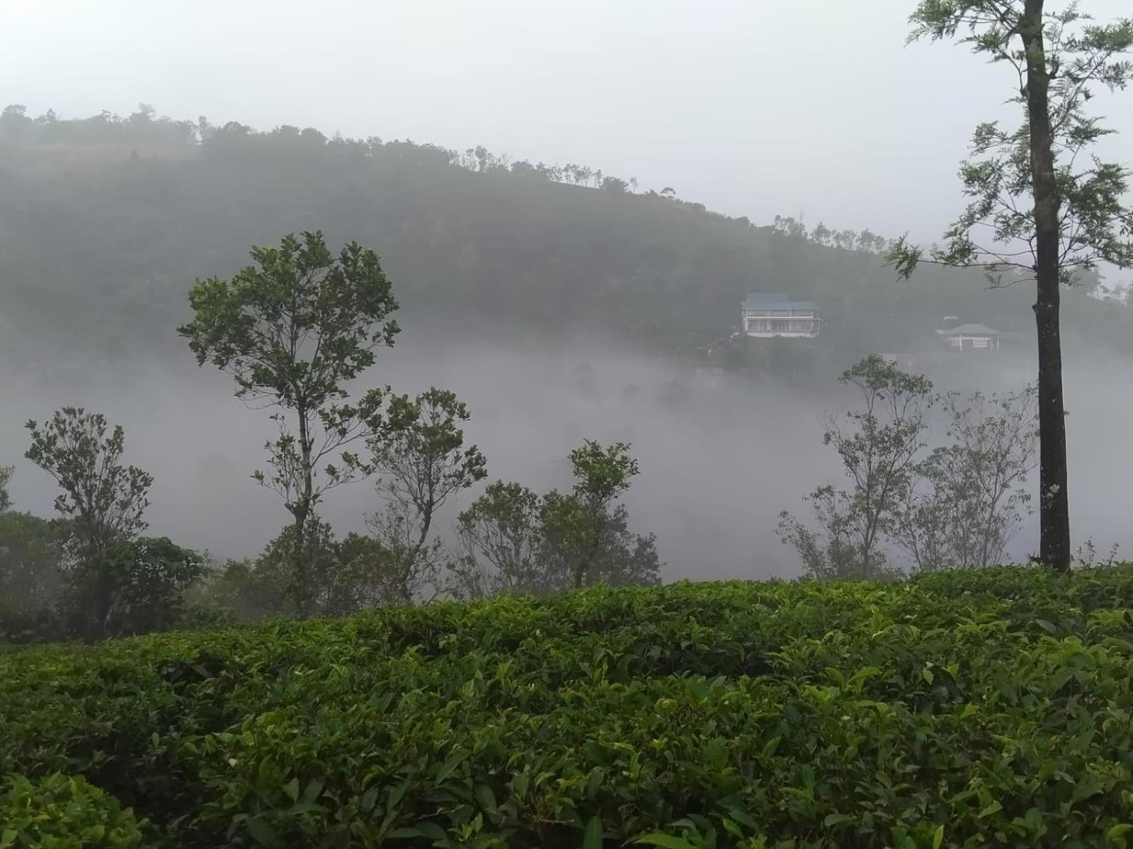 Tharayil Farm Stay วากามอน ภายนอก รูปภาพ