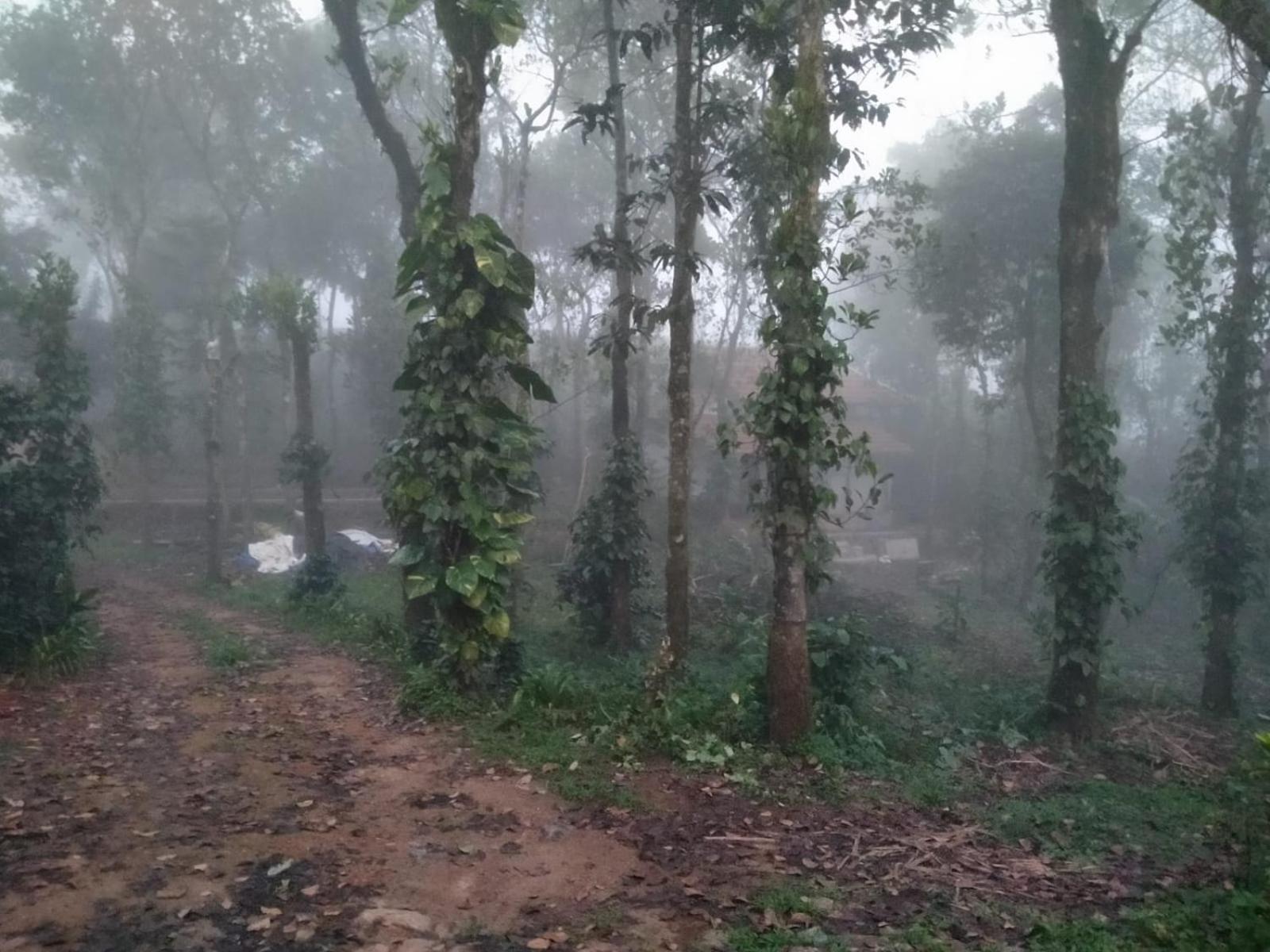 Tharayil Farm Stay วากามอน ภายนอก รูปภาพ