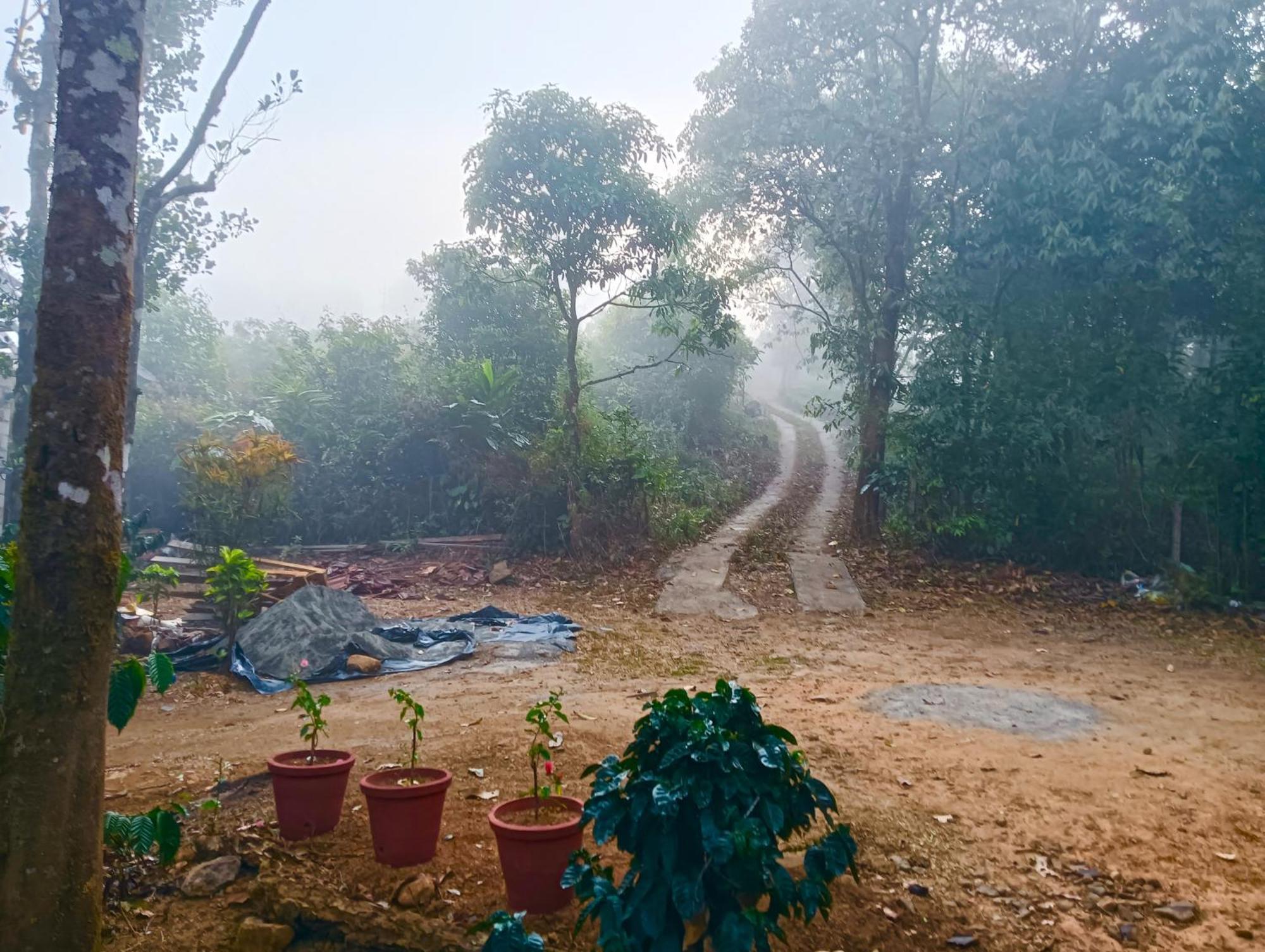Tharayil Farm Stay วากามอน ภายนอก รูปภาพ